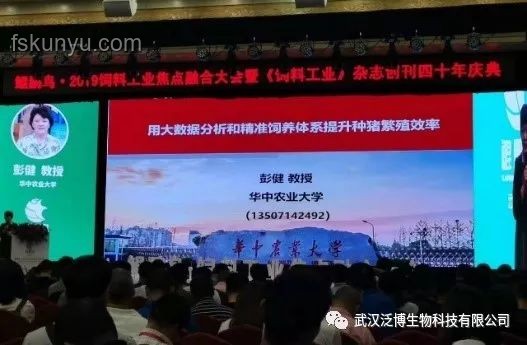 北大教授用大数据“种”出1426亿棵树，跨界生态监测新纪元